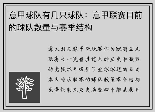 意甲球队有几只球队：意甲联赛目前的球队数量与赛季结构