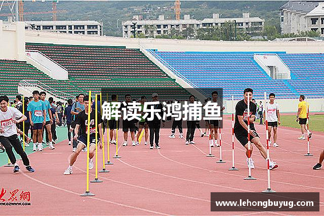 解读乐鸿捕鱼